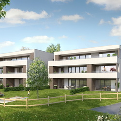 2186 - WA Weiherstraße in Lustenau