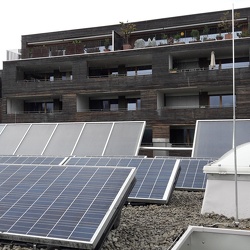 2155 - WA Gerbe II in Egg