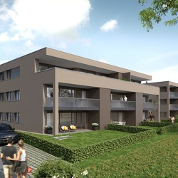 2190 - Holzstraße II in Lustenau