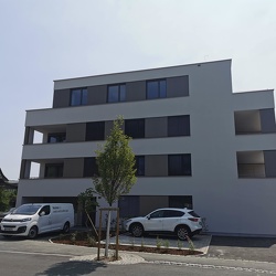 2228 - WA Staldenstraße in Lustenau